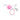 MAKIMO-FINAL-969316-Rosa-Erdbeer