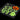 Legami Gel-Fensteraufkleber – Windo-Glow Skeleton | MAKIMO-LEGAMI-GGH0001-GGH0001_3