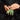 Legami Mini-Zombiehand mit Federmechanismus – The Mini Walking Hand | MAKIMO-LEGAMI-MMH0001-MMH0001_8