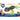 Hex Bots Wall Crawler Gecko RC (Wandkriechender Gecko) - Makimo - Smart Kids