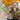 Smart Games - Pole Position - Makimo - Smart Kids