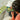 Smart Games - Pole Position - Makimo - Smart Kids
