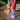 Stapelstein - Rainbow Set Classic - Makimo - Smart Kids